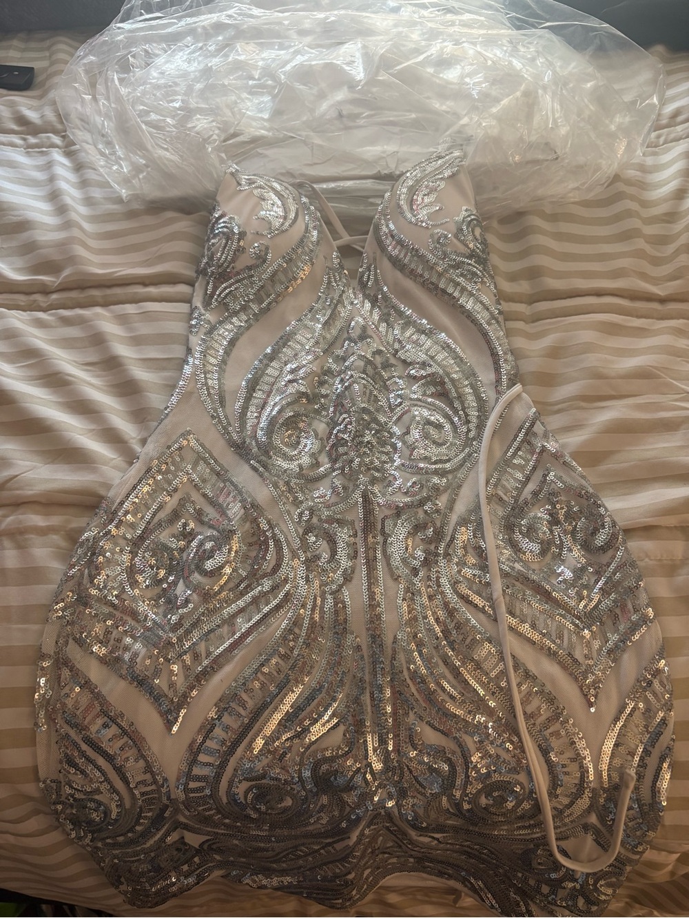 Windsor Strapless Silver Sequin Embellished Dress